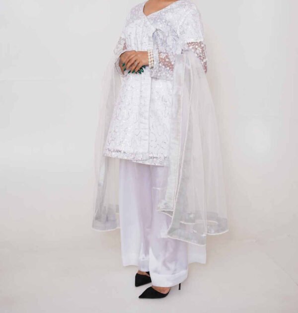 The Silver Moonlight Anarkali